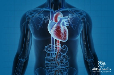 ما-هو-الشريان-الأبهر